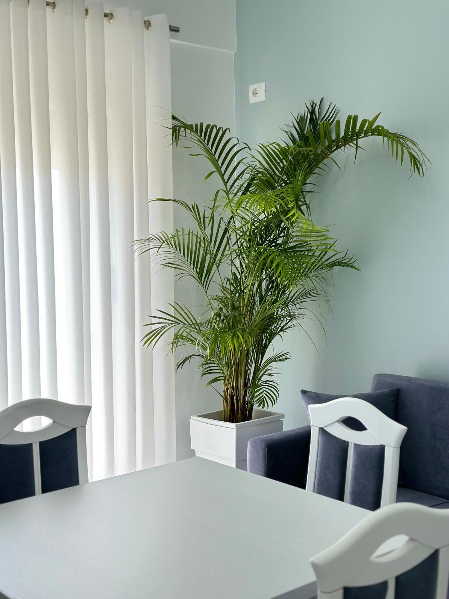 Apartman Philip Sea View *